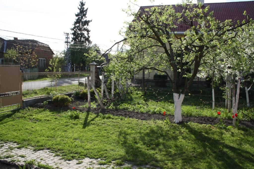 Гостевой дом Apartment Petefi Берегово-23